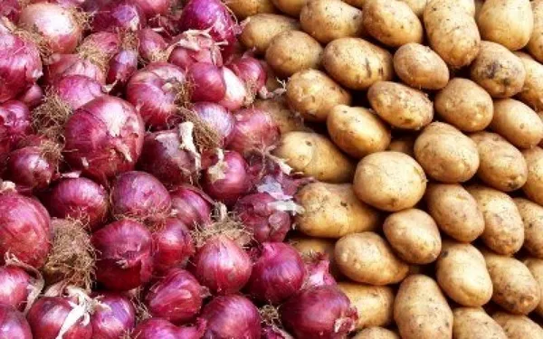 صادرات بیش از ۱۰۲ هزار تن گوجهفرنگی و پیاز از فارس به کشورهای خارجی