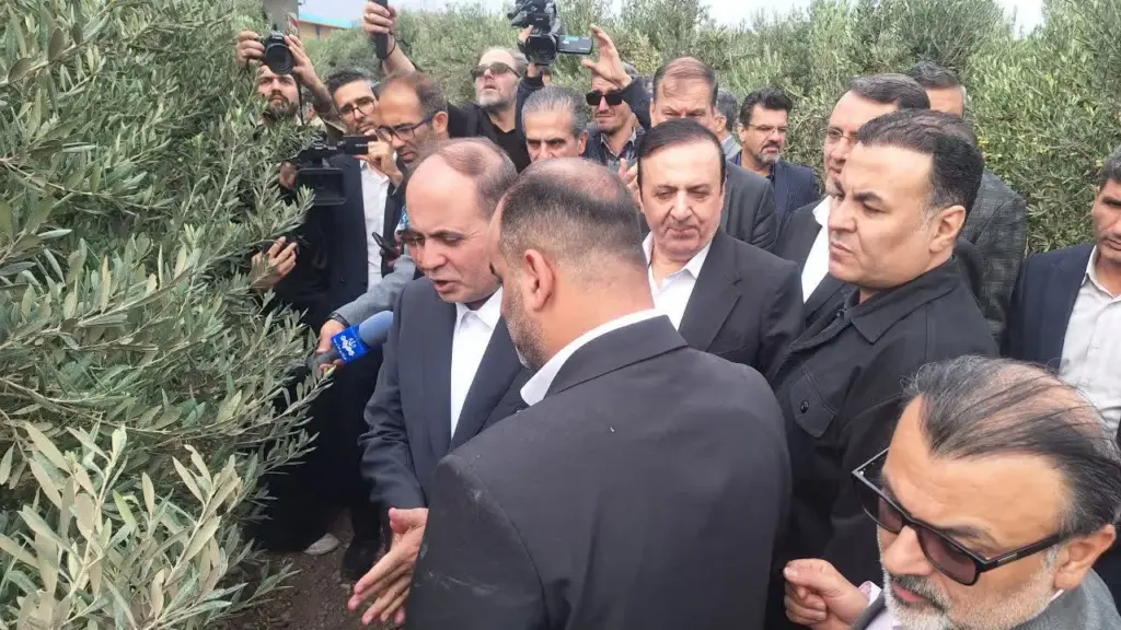 بازدید وزیر جهاد کشاورزی از یک واحد فرآوری زیتون در قزوین