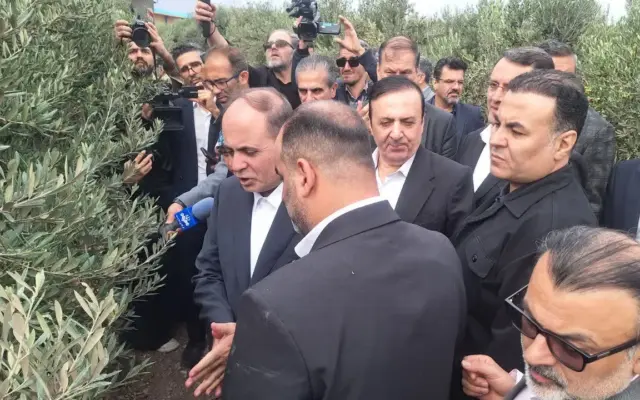 بازدید وزیر جهاد کشاورزی از یک واحد فرآوری زیتون در قزوین