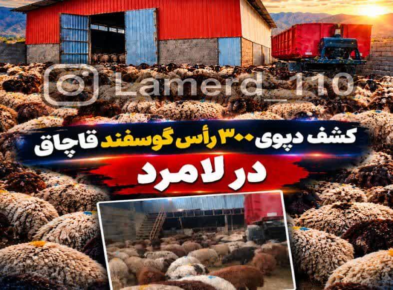کشف ۳۰۰ راس دام سبک قاچاق در لامرد فارس