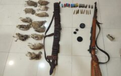 سه متخلف شکار و صید در شهرستان گناوه دستگیر شدند