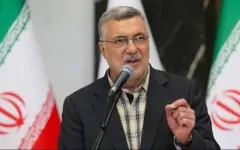 انجام اقدامات مراقبتی در مرز‌ها در ارتباط با طاعون/ جای نگرانی وجود ندارد