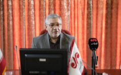 رفع موانع صنایع تبدیلی زیتون طارم در دستور کار قرار گرفت