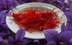 احیای زمین با زعفران