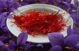 احیای زمین با زعفران