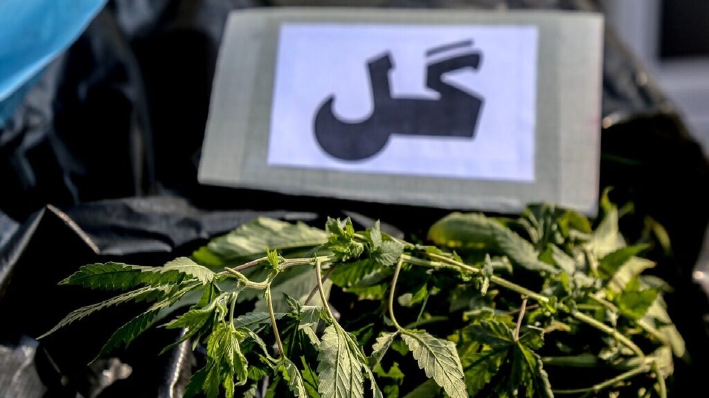 کشف یک تن ماده مخدر «گل» در اسدآباد