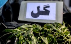کشف یک تن ماده مخدر «گل» در اسدآباد