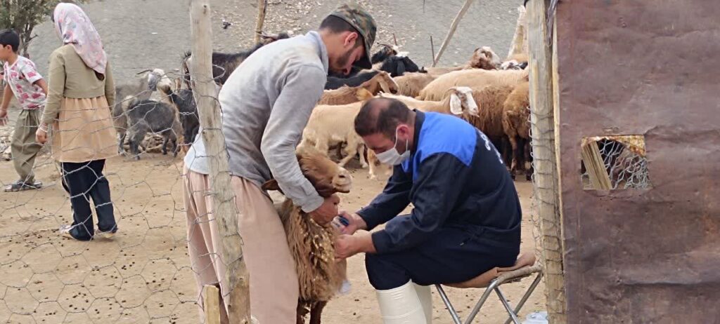 ارائه خدمات رایگان دامپزشکی در چگنی لرستان