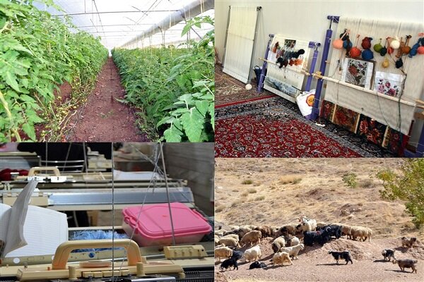 پرداخت ۶۲۲ میلیارد ریال تسهیلات مشاغل خانگی در بخش کشاورزی آذربایجان‌غربی