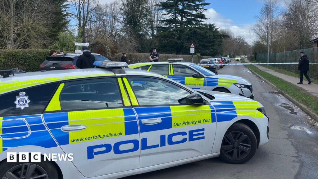 Schoolboy knife attacker texted 'sorry' to mum