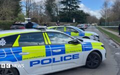 Schoolboy knife attacker texted 'sorry' to mum
