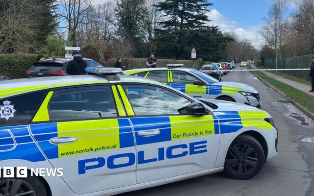 Schoolboy knife attacker texted 'sorry' to mum
