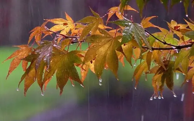 کاهش ۷ درجه‌ای هوا در پاییز زنجان