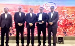 کرمانشاه در جمع سه استان برتر کشور در تولید محصولات زراعی