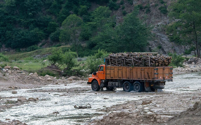 ماجرای همکاری دو جنگلبان با مافیای چوب در هیرکانی | جنگلبانان در تور مافیای چوب؟