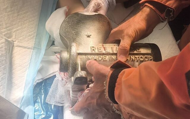 جراحت شدید دست زن کارگر در چرخ‌گوشت در مرکز تهران