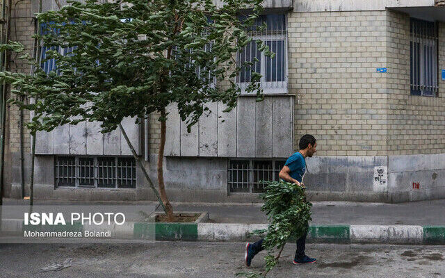 هشدار وزش باد شدید در تهران