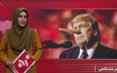باز شدن پای پینوکیو به دنیای سیاست