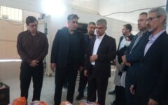 ۳۶ تن فرآورده دامی فاسد در همدان از چرخه مصرف حذف شد