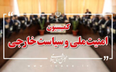 گمانه‌زنی دو عضو کمیسیون امنیت ملی مجلس پیرامون ورود افراد مسلح به کشور/ حیات مقدم: اطلاع رسمی در این زمینه ندارم/مالکی: نیروهای امنیتی و اطلاعاتی برخورد می‌کنند
