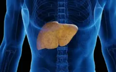غذا خوردن در ساعات پایانی شب با افزایش خطر کبد چرب مرتبط است