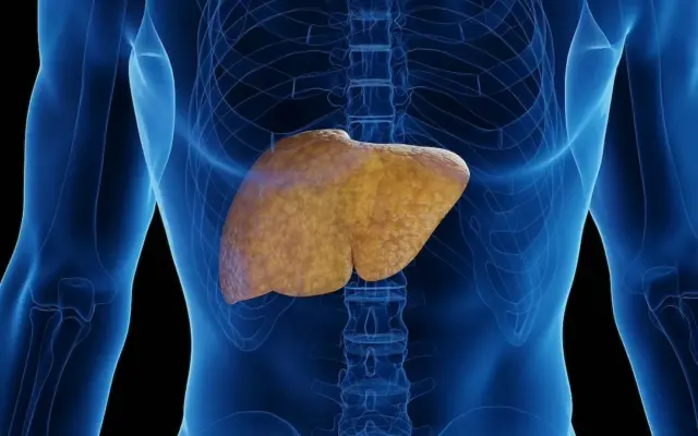 غذا خوردن در ساعات پایانی شب با افزایش خطر کبد چرب مرتبط است