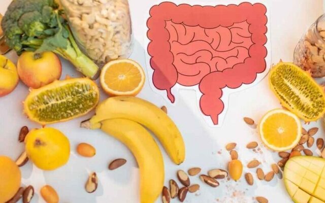 برای سلامت روده چی بخوریم؟/ ۱۵ انتخاب گیاهی مفید برای سلامت روده