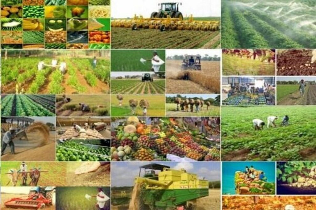 شبکه تعاونی روستایی نکا نبض توزیع نهاده‌ها و کالاهای اساسی را در دست دارد