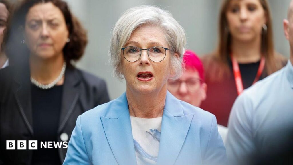 Australian MP critically injured after being hit by car in apparent attack