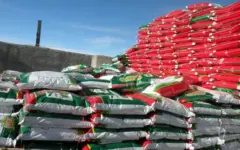 کشف قریب به ۹ میلیارد ریال کود شیمیایی قاچاق در اندیمشک