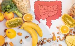 برای سلامت روده چه بخوریم؟ ۱۵ انتخاب مفید و ساده