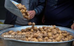 جشنواره گردو در کلور؛ نماد همبستگی اقوام و رونق گردشگری