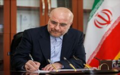 قالیباف قهرمانی کشتی آزاد زیر ۲۳ سال جهان را تبریک گفت