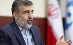 صدور قطعنامه‌های سیاسی علیه ایران به ضرر اعتبار آژانس بین‌المللی انرژی اتمی است