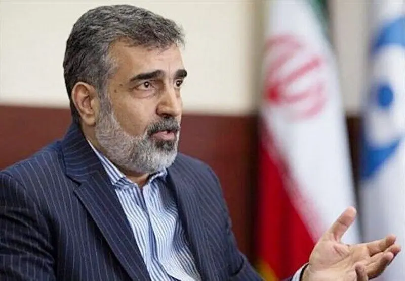 صدور قطعنامههای سیاسی علیه ایران به ضرر اعتبار آژانس بینالمللی انرژی اتمی است