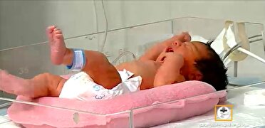 جهاد دانشگاهی؛ از امیدآفرینی در درمان ناباروری تا پیشگامی در علم و پژوهش