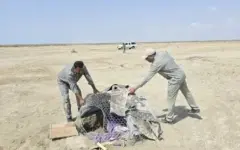 دستگیری ۳ متخلف و تخریب ۲۰ کوخه در هرمزگان