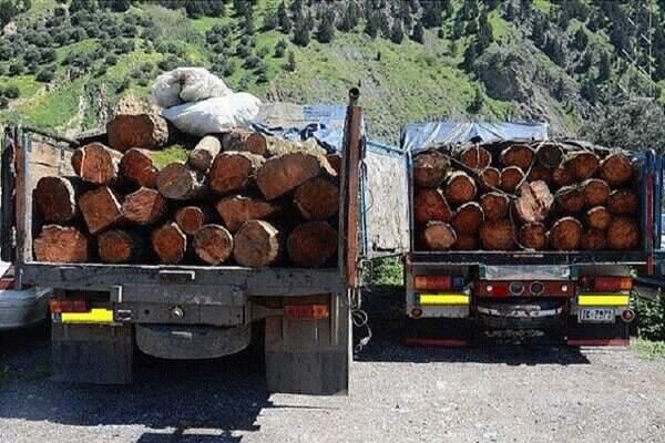 کشف ۲ تن چوب جنگلی غیرمجاز در شهرستان نور