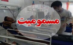 مسمومیت شهروندان بجنوردی با اسفناج آلوده؛ پرونده قضایی تشکیل شد