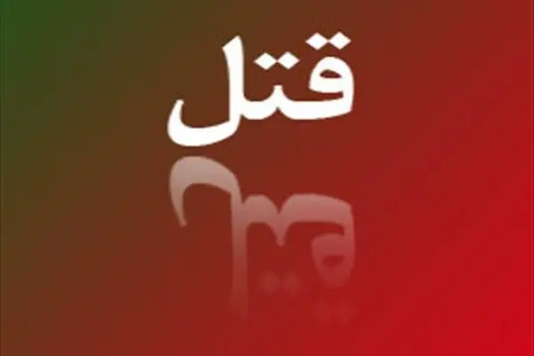 جزئیات قتل خواننده لس‌آنجلسی در تهران/ ببینید
