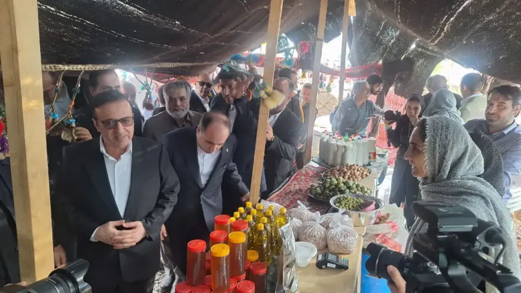 جشنواره ملی زیتون با حضور وزیر جهاد کشاورزی در طارم سفلی برگزار شد