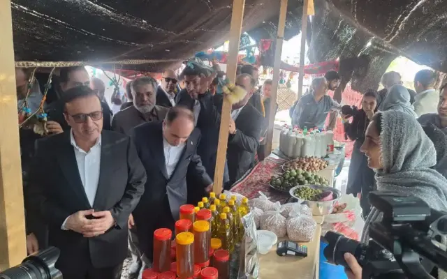 جشنواره ملی زیتون با حضور وزیر جهاد کشاورزی در طارم سفلی برگزار شد