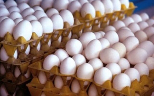 قیمت هر شانه برای مصرف‌کننده ۵۵۰ هزار تومان