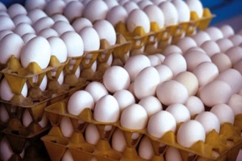 قیمت هر شانه برای مصرف‌کننده ۵۵۰ هزار تومان