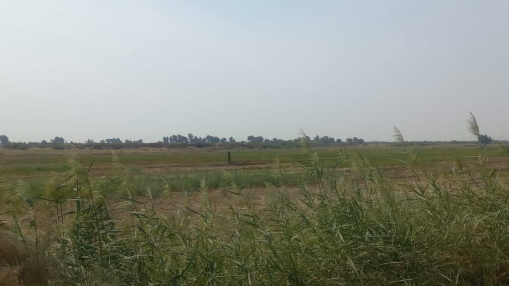 رفع تصرف ۱۶ هکتار از اراضی ملی و منابع طبیعی در اهواز