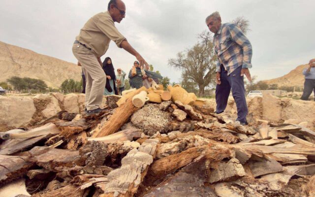 برگزاری جشنواره چارو در پارسیان هرمزگان