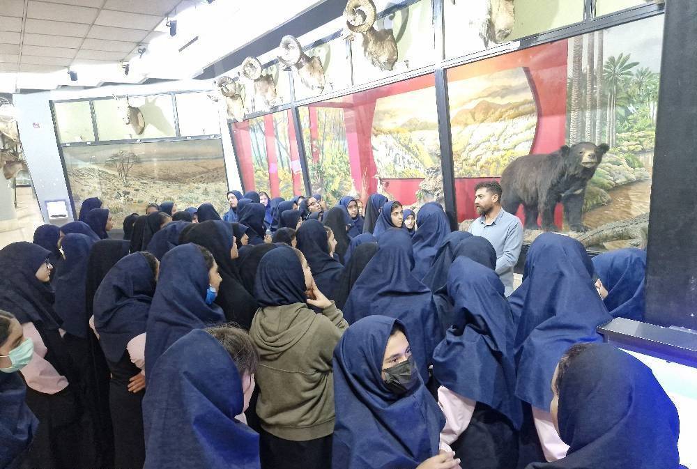 آموزش ۸۳۰ دانش آموز در موزه تاریخ طبیعی و تنوع زیستی