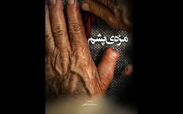 «مزه پشم»؛ روایتی از هنر اصیل نمد مالی/ زارعی: مستند دست فیلمساز را برای بیان دغدغه‌هایش بازتر می‌گذارد