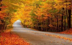 ۵ مقصد برای سفر یک‌روزه پاییزی اطراف تهران