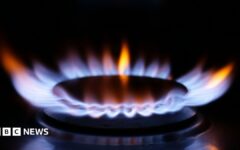 Chris Mason: Jackdaw approved but tricky energy trade-offs remain